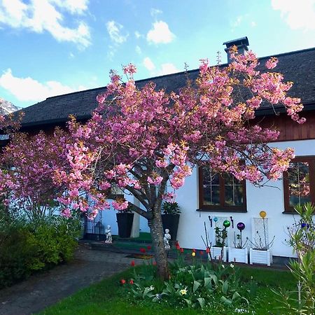 Haus Belli Villa Bad Aussee Luaran gambar